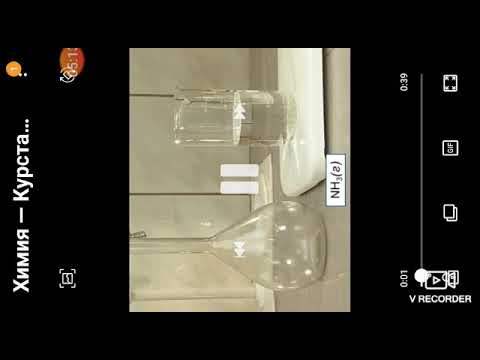 Видео: Негіздер 8- сынып