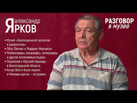 Видео: "Разговор в музее" - Александр Ярков