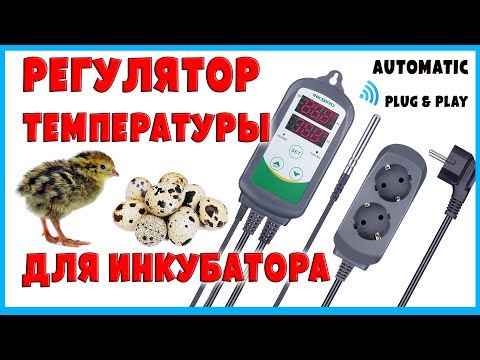 Видео: Терморегулятор для инкубатора и контроля температуры в помещении для животных