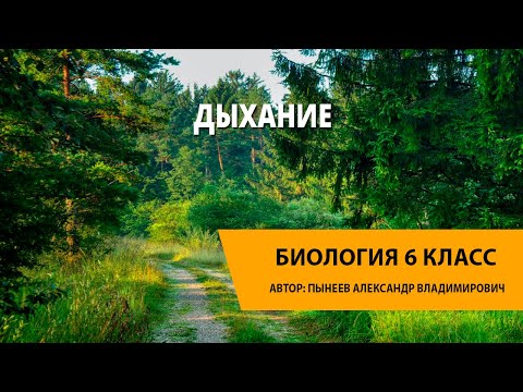 Видео: Дыхание