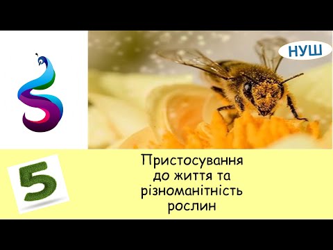 Видео: Пристосування до життя та різноманітність рослин