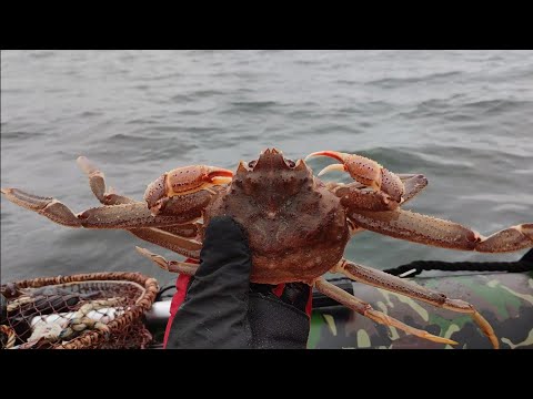 Видео: Ловим краба. Камчатка.