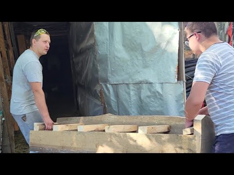 Видео: ‼️Свиньи грызут деревянный загон, полы 😱 Большое корыто для свиней с дерева 🐷 #pigfeed #pig #farmer
