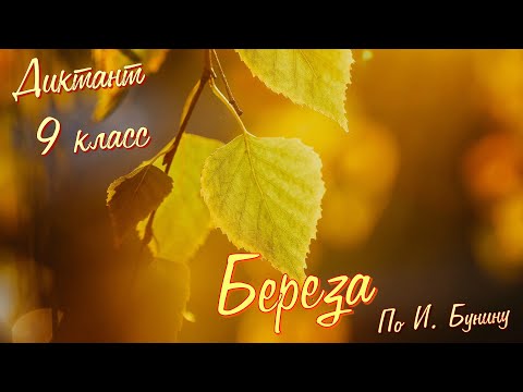 Видео: Диктант по русскому языку с проверкой! 9 класс. Береза #диктант9класс #диктант