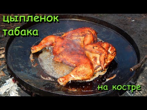 Видео: Цыпленок «ТАБАКА» (курица) на костре \ Лесная кухня