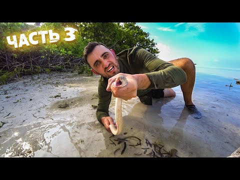 Видео: Выживание! [3-Часть] Поймал и съел мурену. Сделал гамак из мусора.