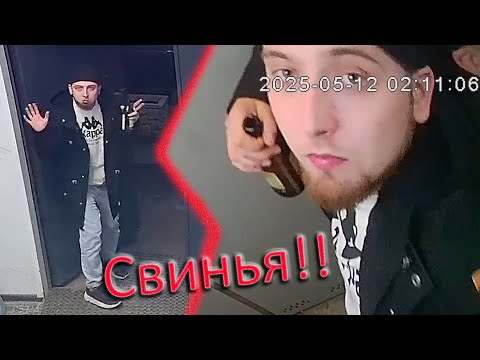 Видео: Гости, по-моему в обществе нужно вести себя по человечески а не по свински?