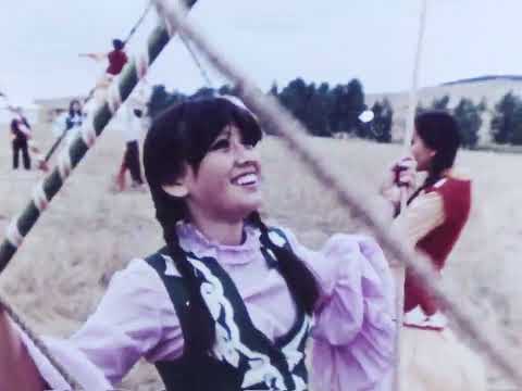 Видео: Домбра 1981 г.