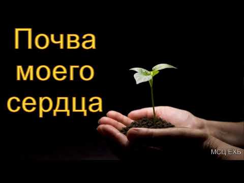 Видео: "Почва моего сердца". Ф. Мамиев. МСЦ ЕХБ.