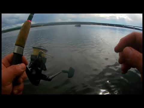Видео: Щука с берега на Ангаре