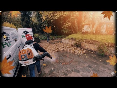 Видео: Я пытался убрать каждый лист на ОГРОМНЫХ дворах моих клиентов (это заняло целую вечность!)»🍁🍂 #са...