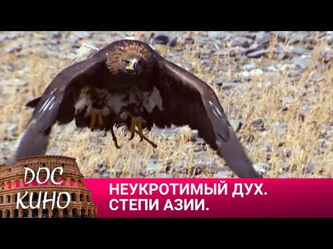 Видео: 🎭НЕУКРОТИМЫЙ ДУХ. СТЕПИ АЗИИ  🌎 ДОКУМЕНТАЛЬНОЕ КИНО 🎆 2021