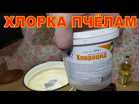 Видео: ХЛОРКА ПЧЁЛАМ