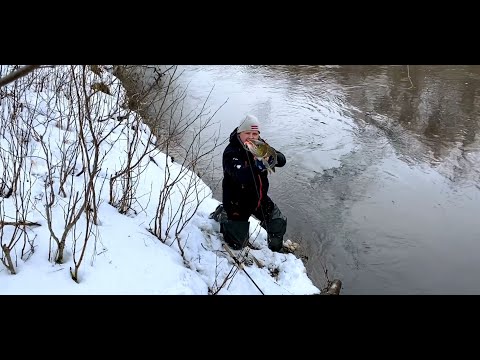 Видео: Ловля лосося. Теория и практика