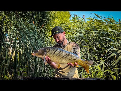 Видео: Як ловити Коропа в Спеку? Хто отримав 2 вудилища?