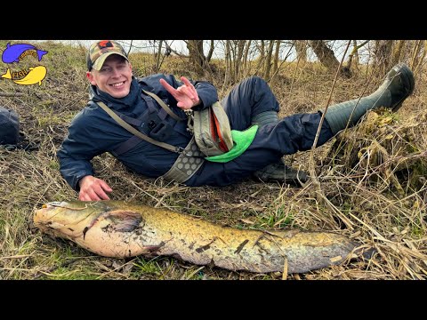 Видео: СОМИ МОНСТРИ на р. ПІВДЕННИЙ БУГ! Частина 3