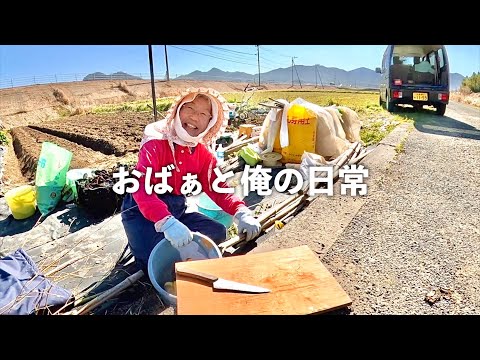Видео: Секрет японской бабушки: как сажать картошку