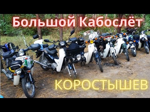Видео: Большой слёт на Honda Super Cub (Хонда Супер Каб )