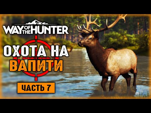 Видео: ОХОТА НА ВАПИТИ! ЗАКАЗ НА 500 КИЛОГРАММ МЯСА! | Way of the Hunter 🐻 | Часть #7