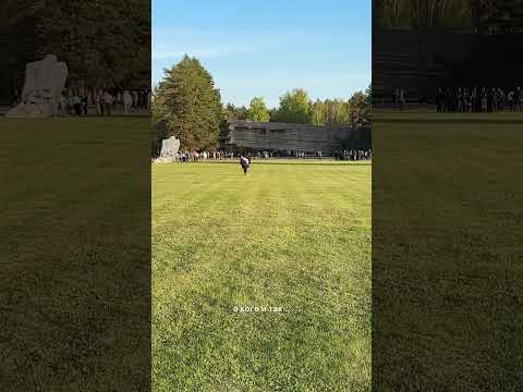 Видео: С Днём Победы над фашизмом!