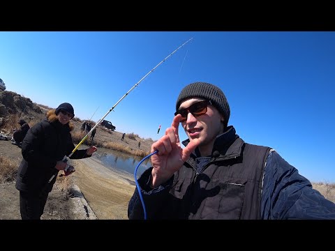 Видео: Наурыздағы балық аулау, уха пісіріп рогаткамен жыланбалық аттым