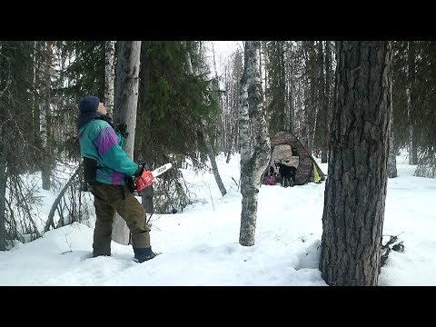 Видео: Бензопила, палатка и печка в тайге (первая часть)