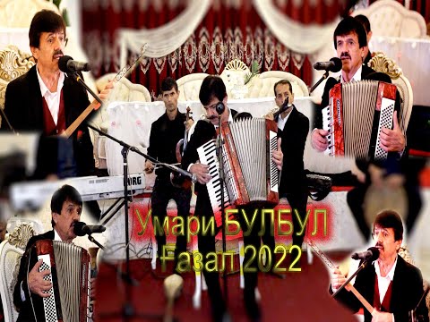 Видео: Газал Умари Булбул 2022