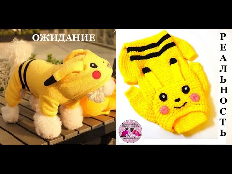 Видео: Ожидание и реальность. Идея оформления комбинезона для собаки