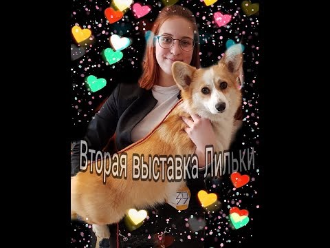 Видео: Выставка Лилу - Навсегда с тобой.