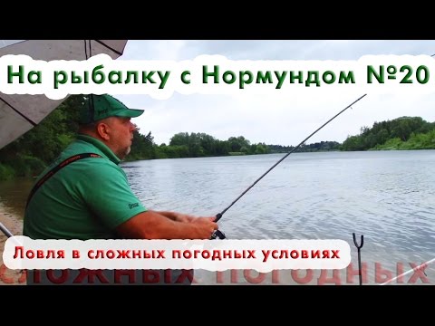 Видео: Ловля в сложных погодных условиях : На рыбалку с Нормундом #20