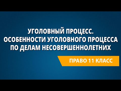 Видео: Уголовный процесс. Особенности уголовного процесса по делам несовершеннолетних