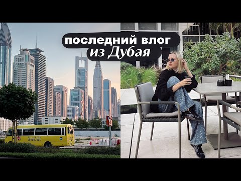 Видео: ВЛОГ из Дубая (последний)