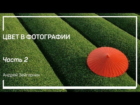 Видео: Цвета не изолируются. Диффузия цвета. Цвет в фотографии. Андрей Зейгарник