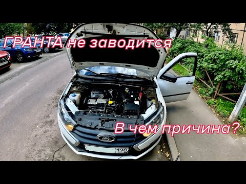 Видео: Лада Гранта. А также: Хонда с косяком и мертвый Ниссан.