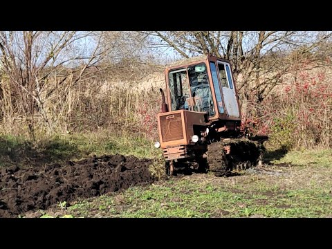 Видео: Пахота огорода трактором Т-70 Молдован!