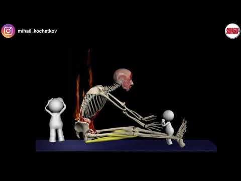 Видео: Растяжка мышц задней части бедра