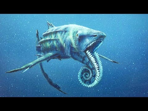 Видео: 5 Самых Ужасных Доисторических Акул 1 часть
