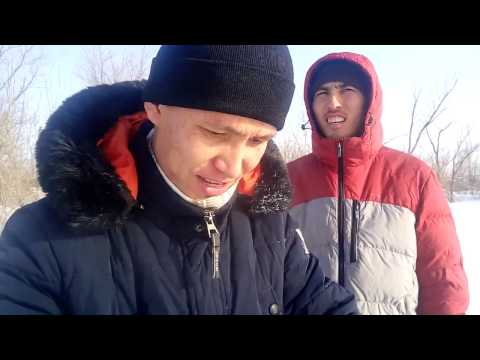 Видео: Ловля зайца на петли, как ставить петли на зайца