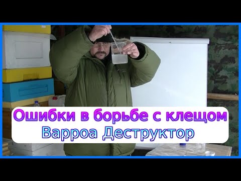 Видео: 📘 Борьба с клещом Варроа Деструктор: не навреди! 📘
