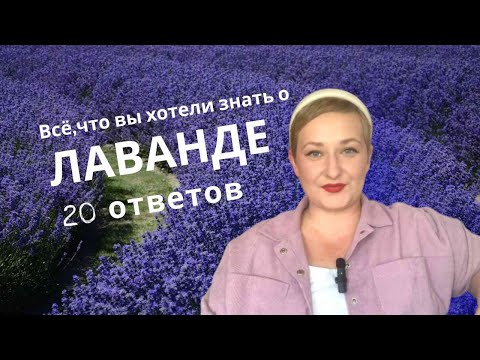 Видео: 20 вопросов о лаванде| Всё что вы хотели знать о лаванде.