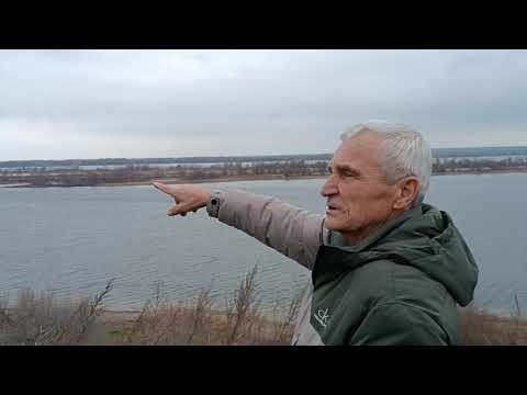 Видео: 11 ноября 2025 г. Оказывается сегодня праздник. Чудесно прогулялись. 🍂🍂🍂🍁🍁🍁