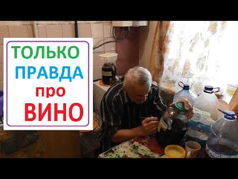 Видео: МОЛОДОЕ ВИНО снимаю с ОСАДКА, пробую, добавляю САХАР
