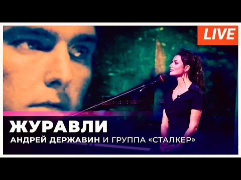 Видео: Андрей Державин - Журавли (live Музыка+)