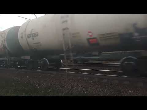 Видео: 7 ноября 2025 г.