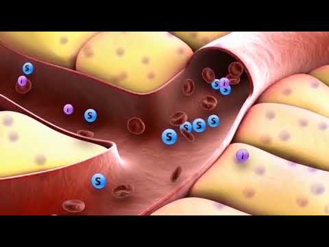 Видео: Информация о сахарном диабете