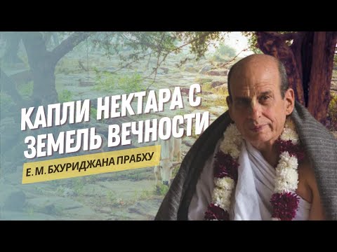 Видео: Капли нектара с земель вечности. Е.М. Бхуриджан Праху