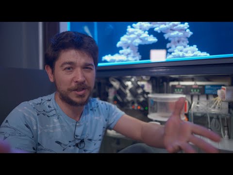 Видео: Запуск морского аквариума, монтаж оборудования