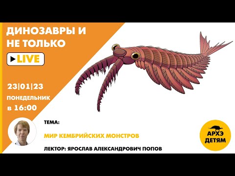 Видео: Занятие "Мир кембрийских монстров" кружка "Динозавры и не только" с Ярославом Поповым
