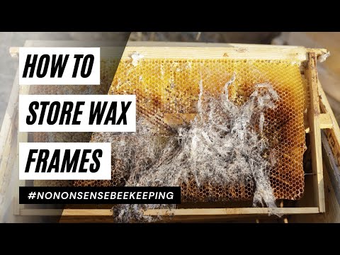 Видео: Как хранить восковые рамки — Хранение восковых рамок зимой — Как предотвратить повреждение восков...
