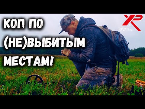 Видео: ВЫБИТЫЕ МЕСТА? НЕ, НЕ СЛЫШАЛ! Коп монет с XP ORX